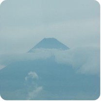 s1393048075 s1393048075